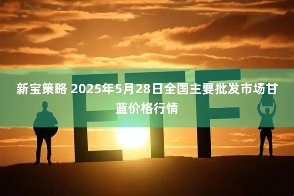 新宝策略 2025年5月28日全国主要批发市场甘蓝价格行情