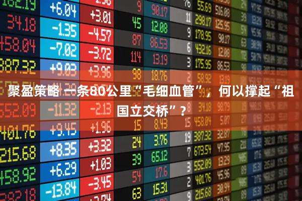 聚盈策略 一条80公里“毛细血管”，何以撑起“祖国立交桥”？