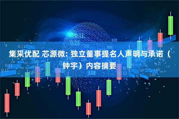 集采优配 芯源微: 独立董事提名人声明与承诺（钟宇）内容摘要