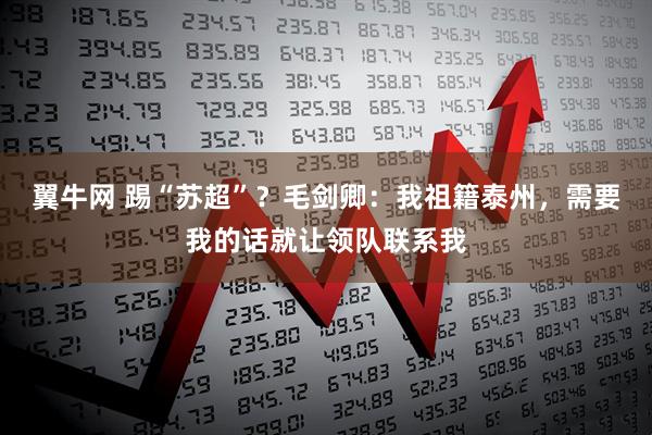 翼牛网 踢“苏超”？毛剑卿：我祖籍泰州，需要我的话就让领队联系我
