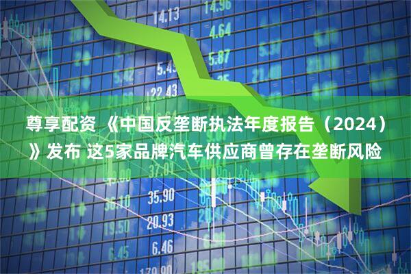 尊享配资 《中国反垄断执法年度报告（2024）》发布 这5家品牌汽车供应商曾存在垄断风险