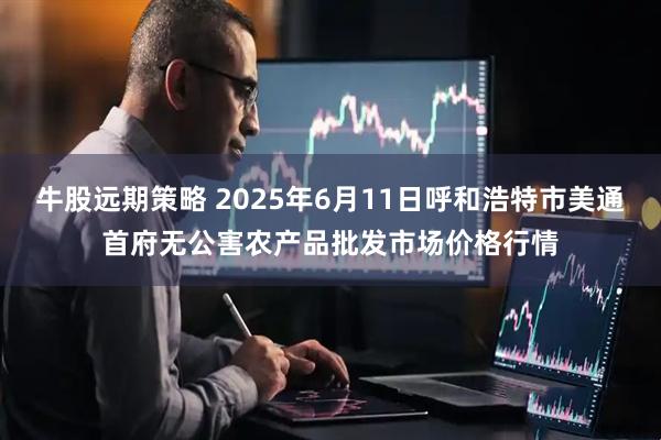 牛股远期策略 2025年6月11日呼和浩特市美通首府无公害农产品批发市场价格行情