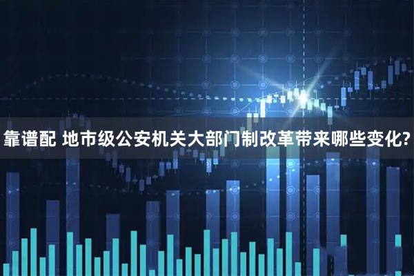 靠谱配 地市级公安机关大部门制改革带来哪些变化?