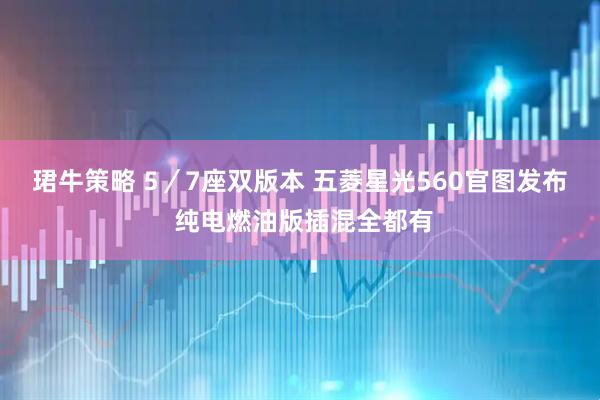 珺牛策略 5／7座双版本 五菱星光560官图发布 纯电燃油版插混全都有