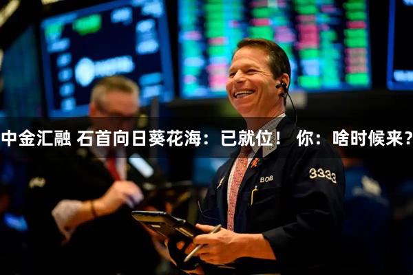 中金汇融 石首向日葵花海：已就位！ 你：啥时候来？