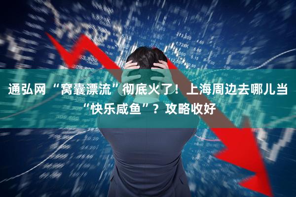 通弘网 “窝囊漂流”彻底火了！上海周边去哪儿当“快乐咸鱼”？攻略收好