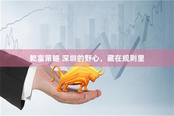 乾富策略 深圳的野心，藏在规则里