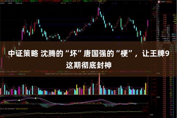 中证策略 沈腾的“坏”唐国强的“梗”，让王牌9这期彻底封神