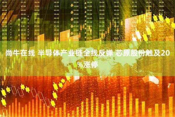尚牛在线 半导体产业链全线反弹 芯原股份触及20%涨停