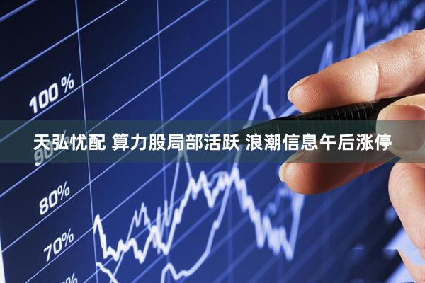 天弘忧配 算力股局部活跃 浪潮信息午后涨停
